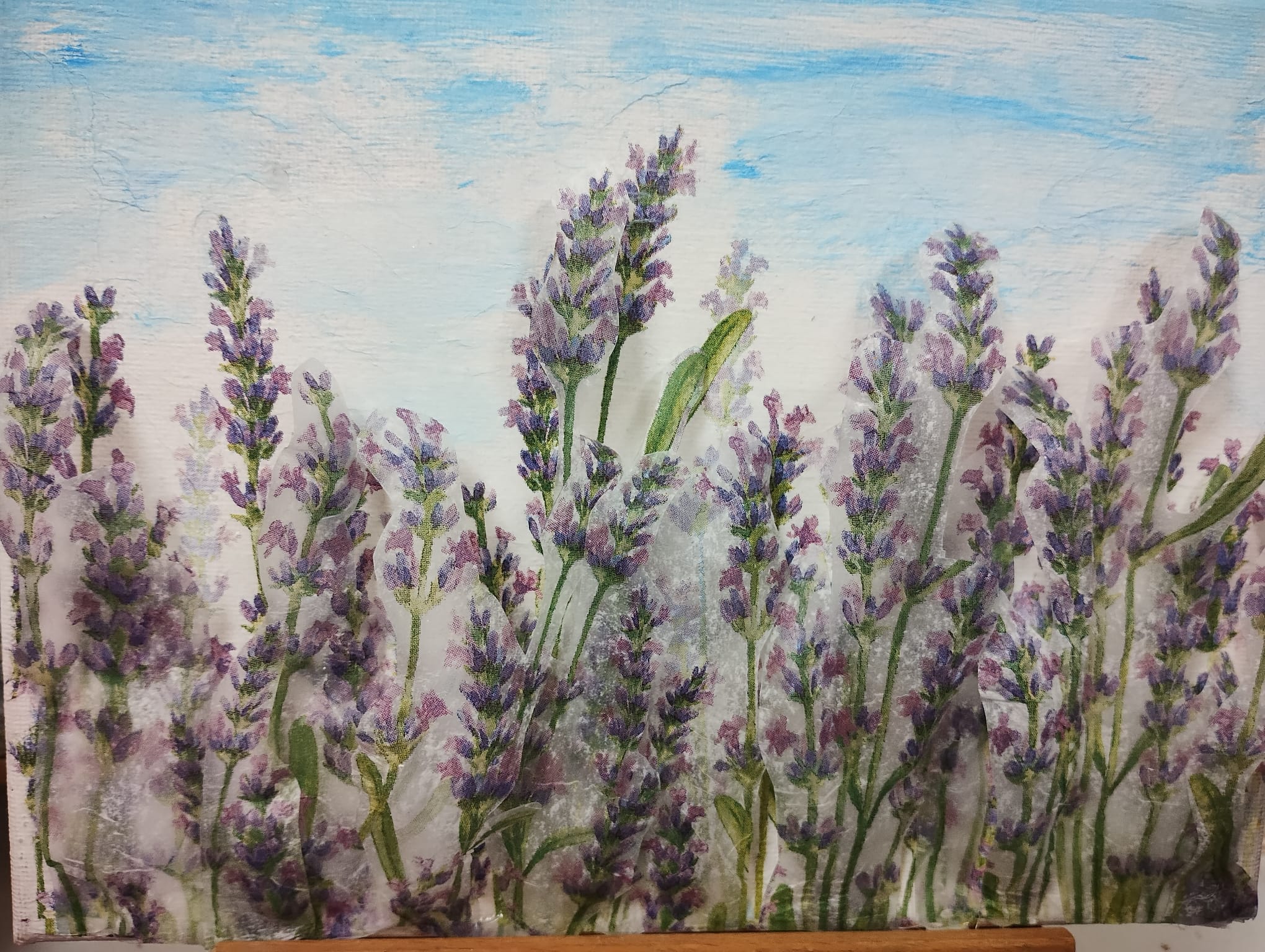 3.6. sospeso transparente.jpg