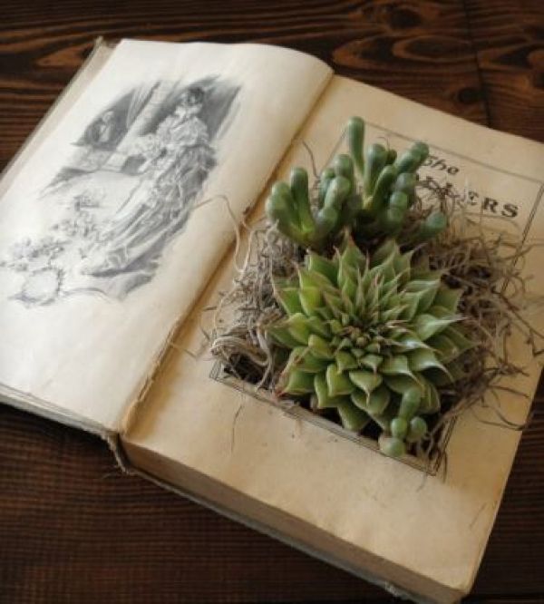Capturegarden_600_666_s_c1 (1).jpeg