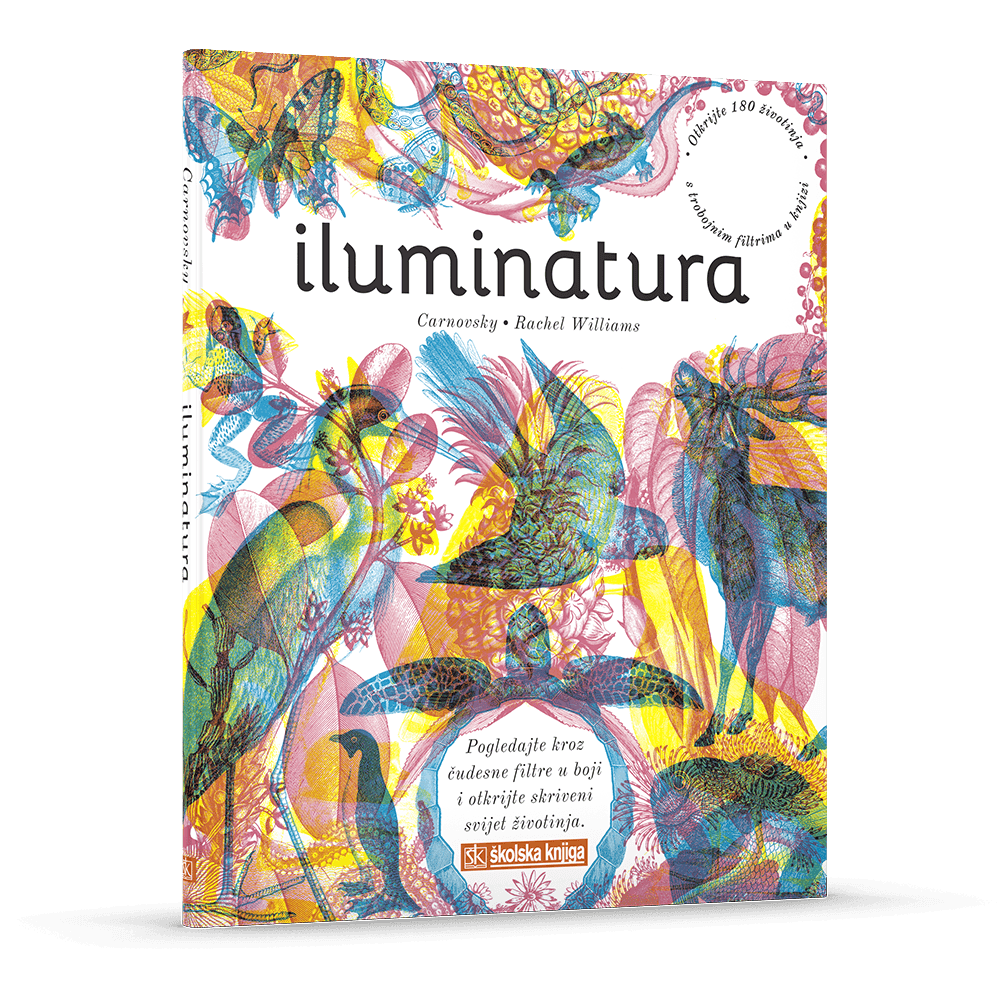 Iluminatura-3D (1).png