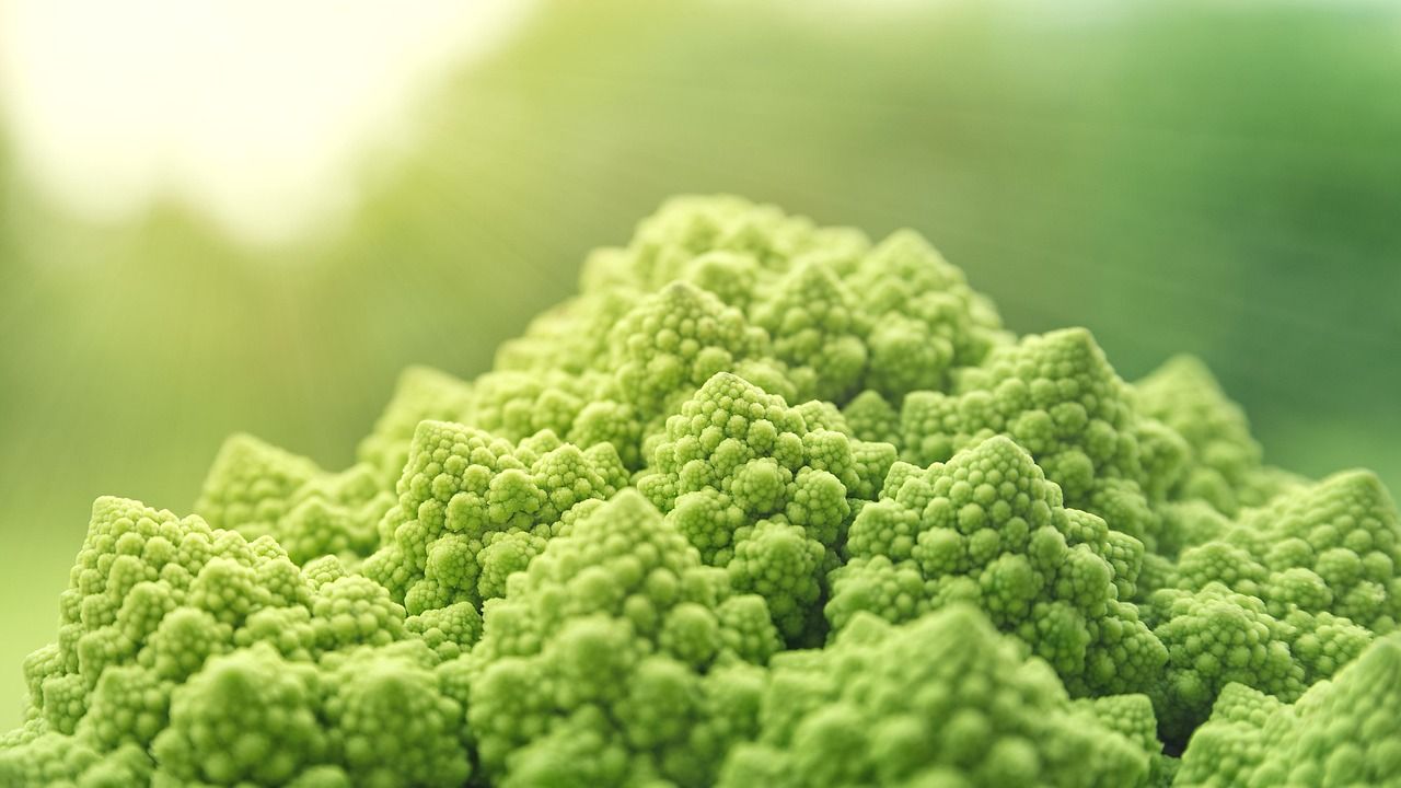 romanesco-3493007_1280.jpg