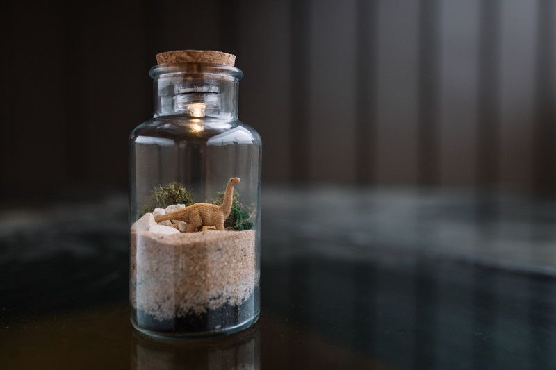 terrarium imaginarium.jpg